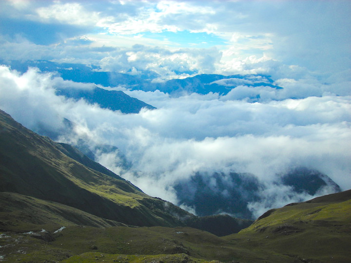 Los bosques nublados en el Parque Nacional Carrasco. Foto: Arturo Muñoz