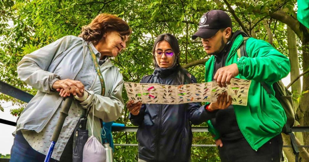 Asiste a las caminatas ecológicas que ofrece el Distrito durante mayo 