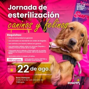 Bogotá: Esterilización gratuita para mascotas en Bosa este martes