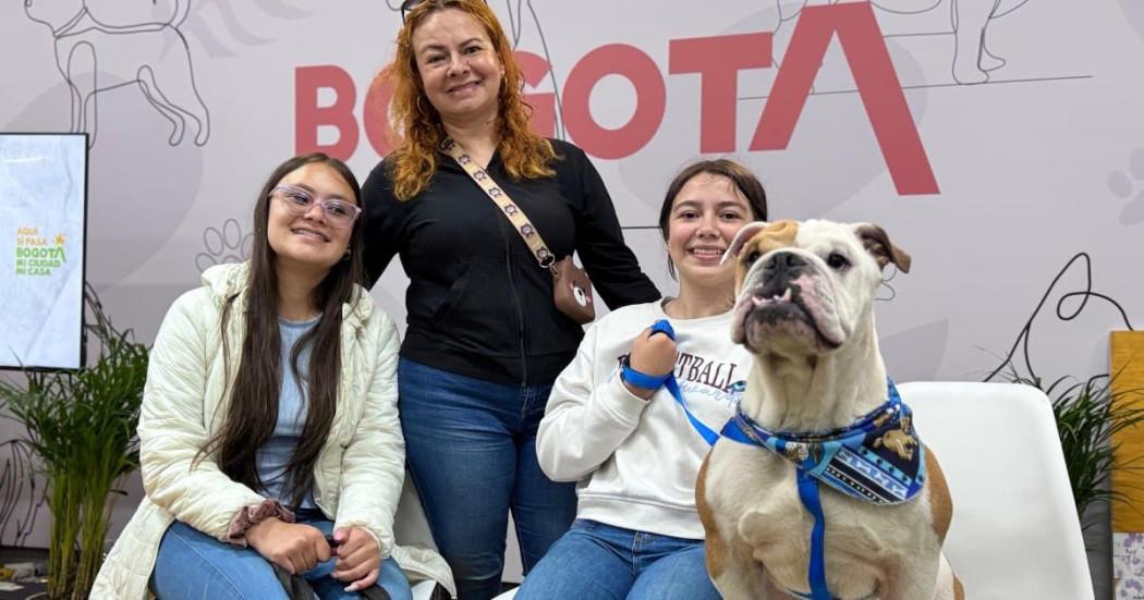 Balance Expopet 2025 Bogotá 46 adopciones de animales de compañía 