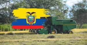 ¡Alerta Máxima! Arroz Ecuatoriano: ¿La Amenaza Oculta que Lleva a la Ruina a Miles de Familias Colombianas?