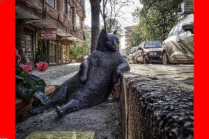 El SECRETO de Bogotá: Así se REVOLUCIONÓ la movilidad en solo 2 años y se SALVARON vidas