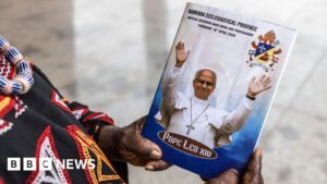 Separatistas de Camerún Declaran Tregua por Visita Papal