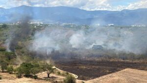 La Escalofriante Sospecha: Incendios en Tolima ¿Obra de Criminales?
