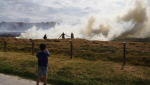 Incendios en Tolima ya afectan más de 22.000 hectáreas