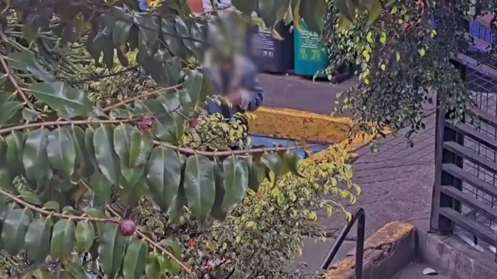 Abuelo de 72 años fue capturado vendiendo estupefacientes en el parque de los Hippies: cámara lo grabó