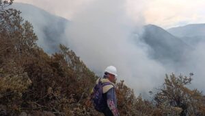 Incendios forestales mantienen en alerta al Valle del Cauca: Buga concentra la emergencia más grave