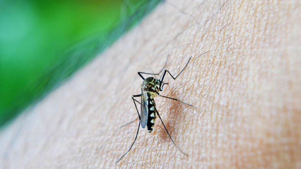 Meta registra la mayor cifra de dengue en Colombia