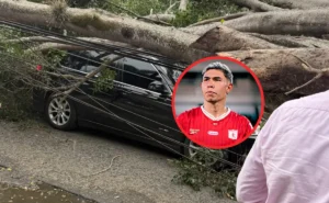 Milagro en Cali: Árbol Gigante Cae Sobre Auto de Nicolás Hernández