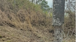 Cali bajo Fuego: Ataques Explosivos Dejan Policías Heridos en Zona Rural