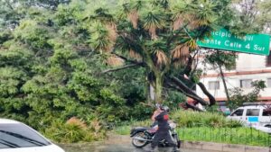 Medellín en Caos: Lluvias Torrenciales Desatan Emergencias y Paralizan la Ciudad