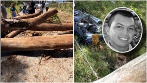 Vientos Mortales: Árbol Derribado Causa Tragedia Inesperada en Huila