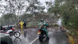 Lluvias y fuertes vientos causan emergencias en Yumbo, Valle: reportan caída de árboles y techos