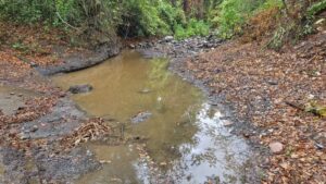 "Que las lluvias no nos confundan": CAR advierte que 22 municipios de Cundinamarca siguen en riesgo de desabastecimiento